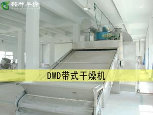 DWD带式干燥机